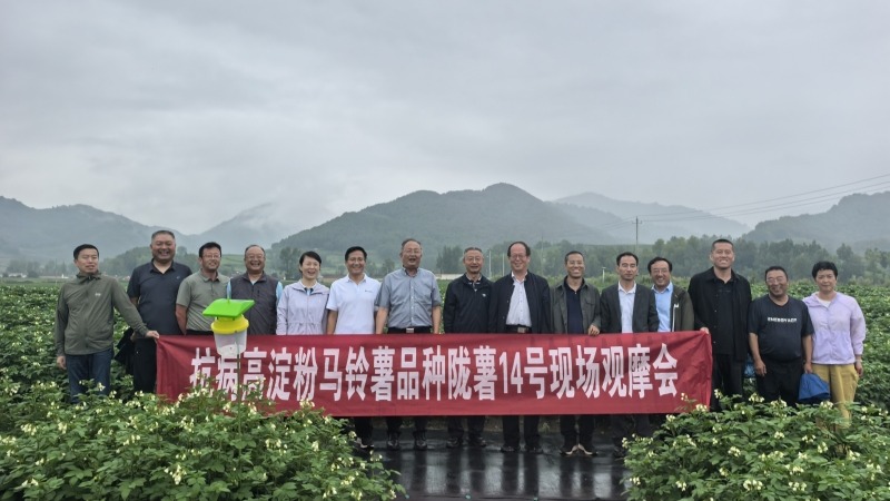 我院马铃薯所举办抗病高淀粉马铃薯新品种陇薯14号现场观摩会