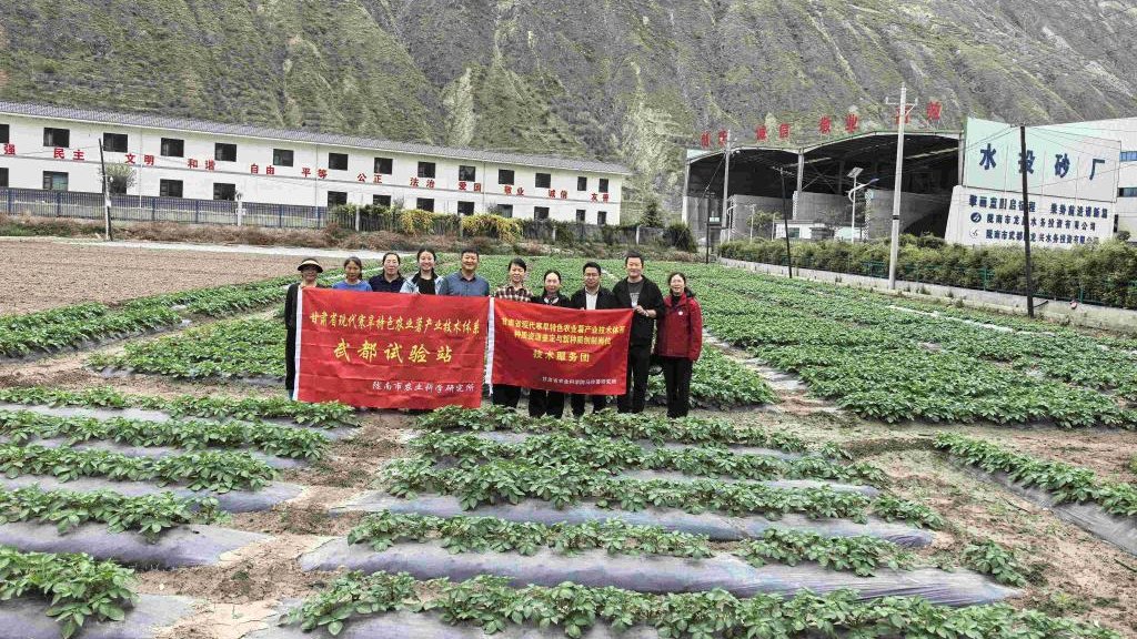 科研力量组团联动  助力陇南马铃薯产业发展