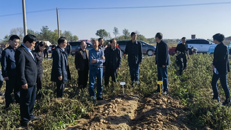 陇东旱塬复种马铃薯生产技术成果现场测产观摩会成功举办