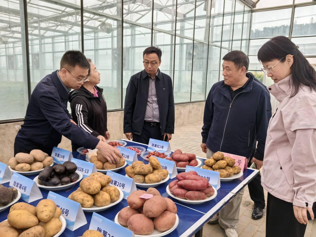 贵州省毕节市调研组莅临我院考察交流马铃薯科技合作